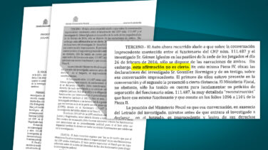 El fiscal del 'caso Nicolás' acusa al juez de mentir y pide a la Audiencia que lo corrija