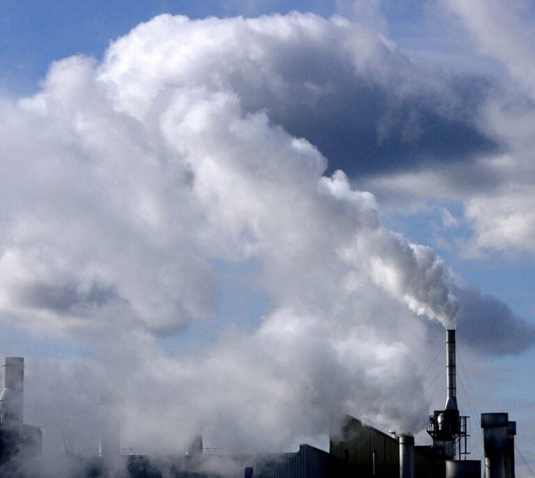 El Instituto Coordenadas recomienda solo los bonos de carbono con certificación oficial