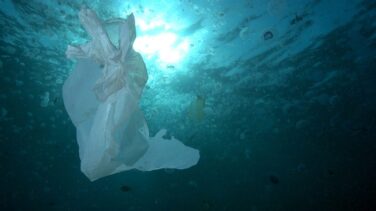 Una gran corriente marina llena el Ártico de plásticos