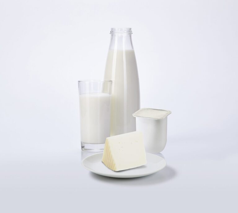 La leche y el queso, protectores contra el cáncer colorrectal
