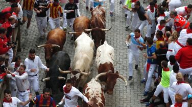 Los toros de Jandilla corren un encierro rápido sin heridos de asta