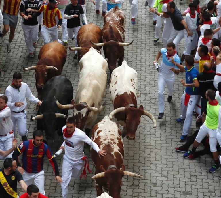 Los toros de Jandilla corren un encierro rápido sin heridos de asta