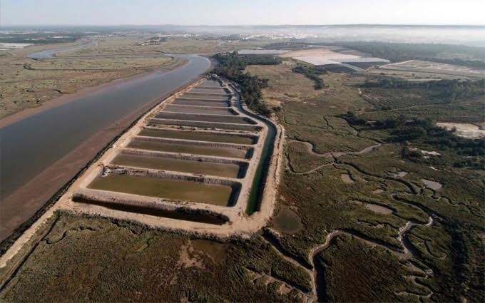 La empresa Huerta Marina es la única que cultiva algas en estanque terrestre en España.