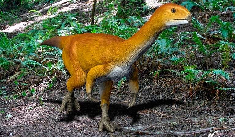 Un estudio identifica al 'Chilesaurus' como el 'eslabón perdido' de los dinosaurios