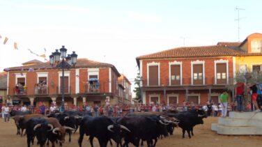 España de fiesta: viva San Roque