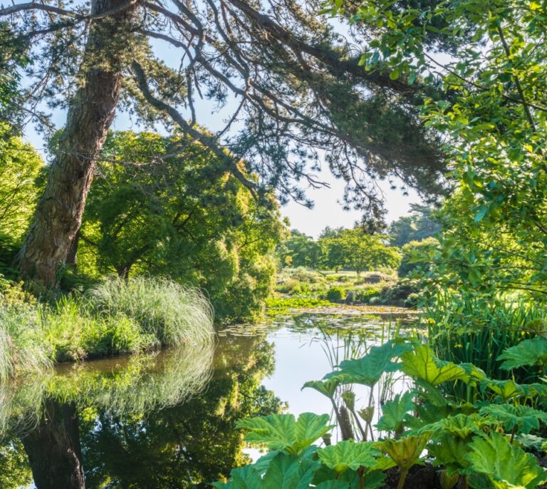 El 30% de las especies vegetales conocidas está en jardines botánicos