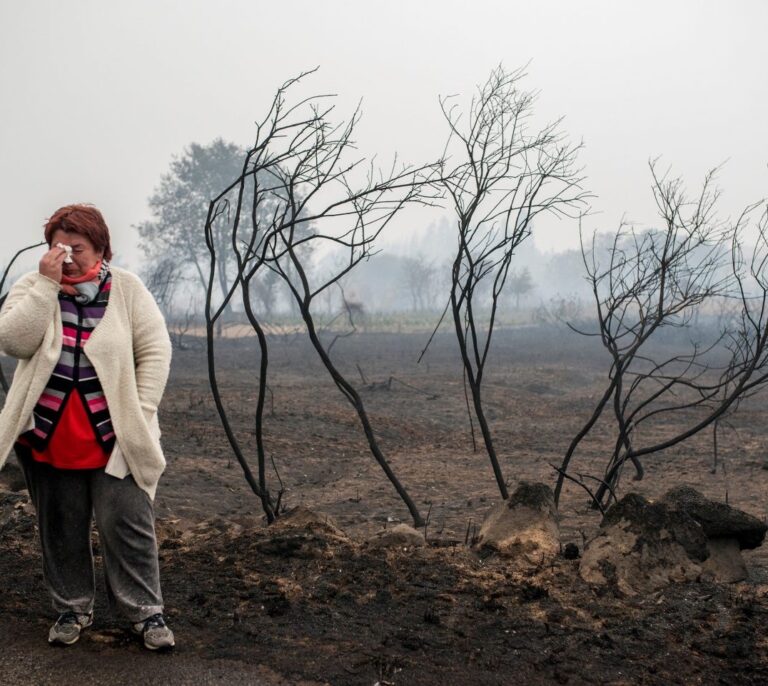 Detenido en Vigo el primer sospechoso de los incendios en Galicia