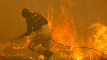 Un estudio confirma la creciente virulencia de los incendios por el cambio climático