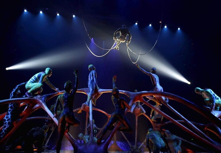 La vida según Cirque du Soleil