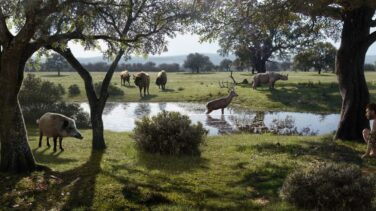 40 años de la aventura de Atapuerca