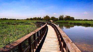 Coca-Cola se compromete a devolver a la naturaleza el agua que utiliza