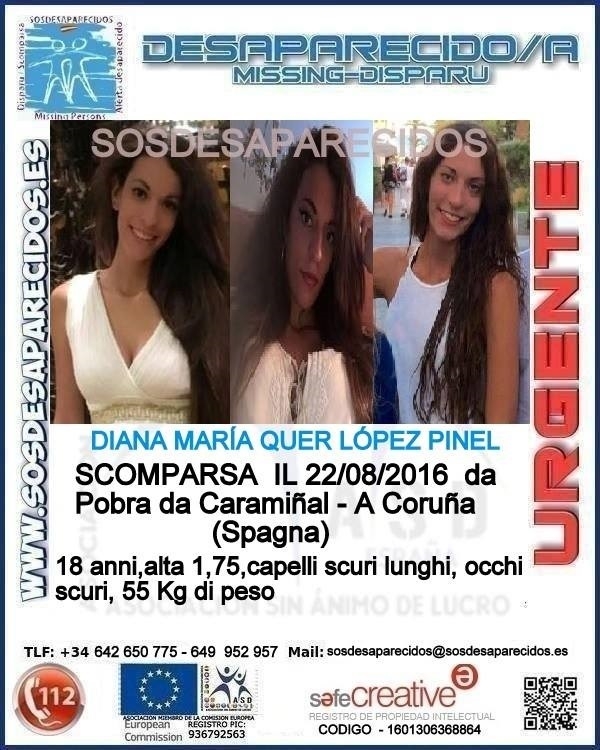Cartel de la desaparición de Diana Quer.