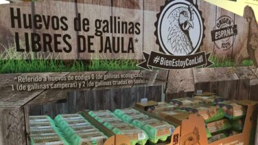 Lidl, primera cadena de supermercados que deja de vender huevos de gallinas enjauladas