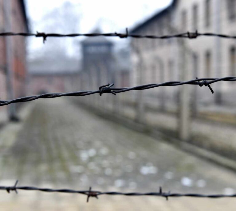 El mensaje de Auschwitz Memorial a David Torres por comparar los campos de concentración con el PP en Madrid