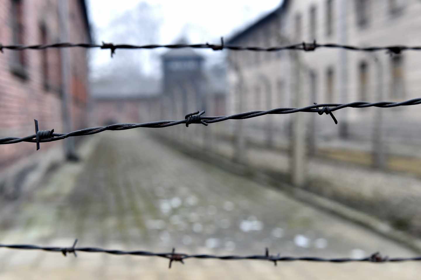 Campo de concentración de Auschwitz, durante el aniversario de su liberación.