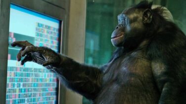 Cuestionan éticamente el uso de primates en el cine