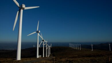 Capital Energy se hace un hueco con Iberdrola, Endesa y Naturgy en la subasta de renovables