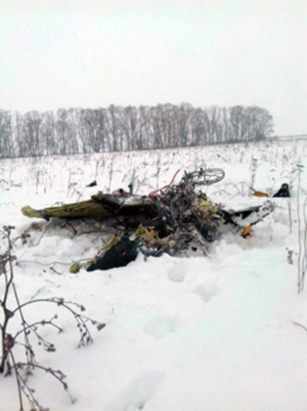 Restos del avión ruso siniestrado en las afueras de Moscú.