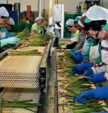 Las mujeres serán clave para una recuperación económica sostenida y sostenible en [...]