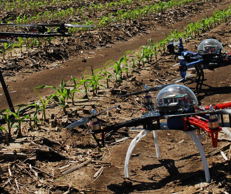 Agricultura 4.0: cosechas abonadas con ciencia y tecnología