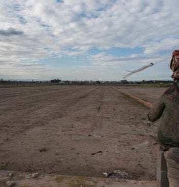 Bancos de tierras, una solución frente al abandono de suelo agrícola