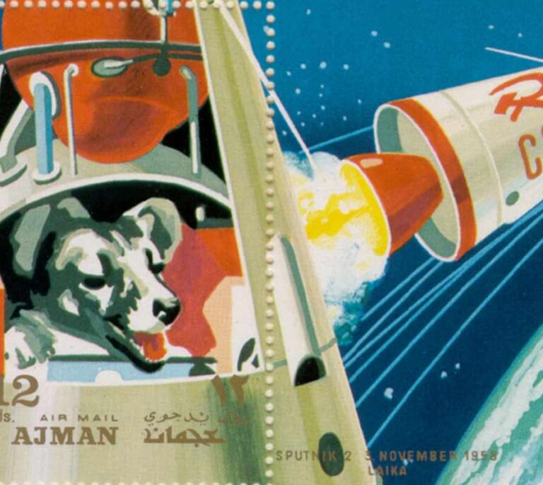 60 años sin Laika: los otros animales en el espacio