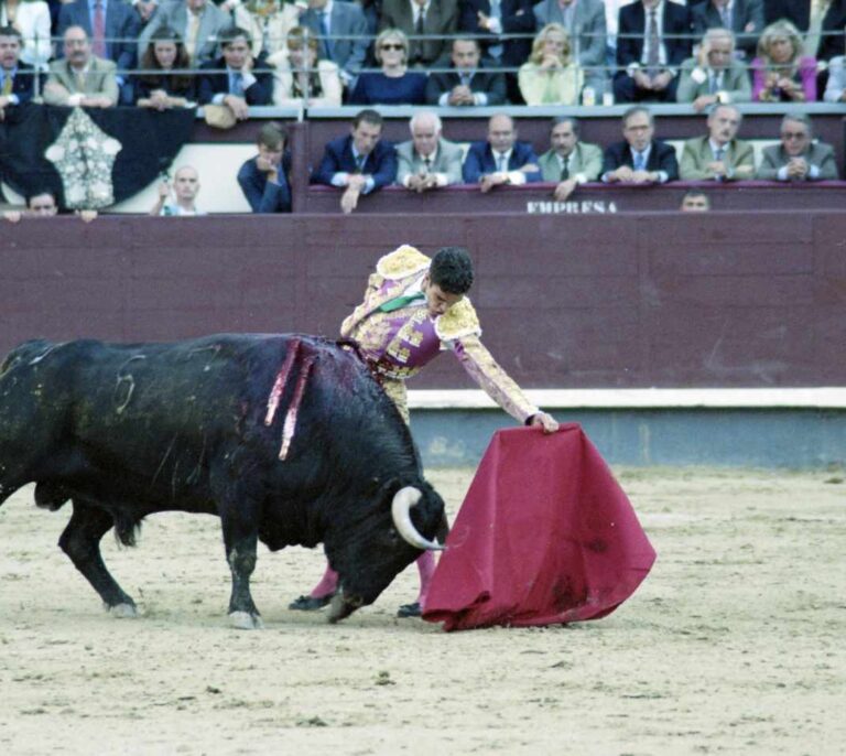 José Tomás sufre una cogida en su vuelta a los ruedos en Alicante