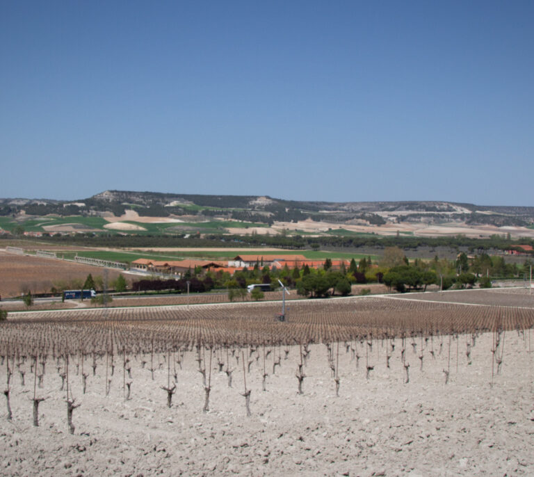 Vega Sicilia contra la Autovía del Duero