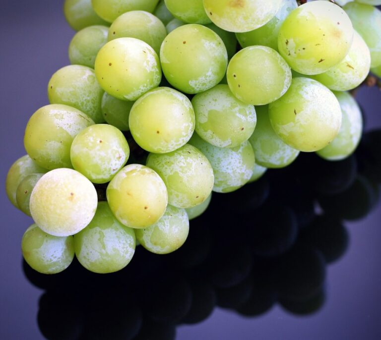 El resveratrol, presente en las uvas y otras frutas, protege contra el alzheimer