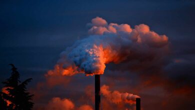 La concentración de gases de efecto invernadero alcanza un nuevo récord