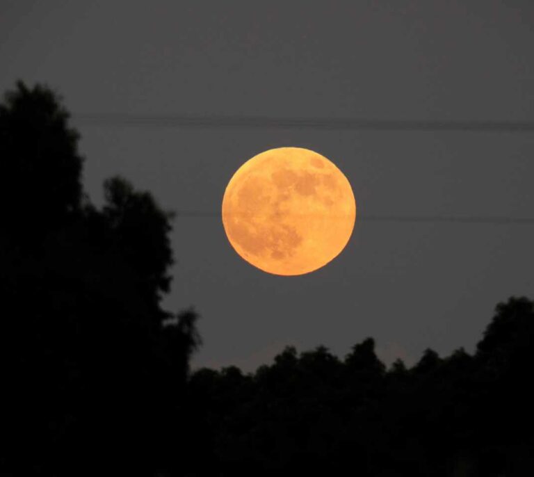 Los cinco eclipses que veremos en la Tierra en 2019