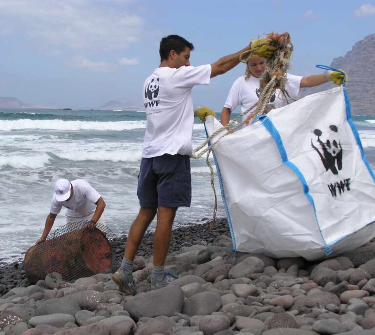 De ADENA a WWF, 50 años defendiendo la naturaleza en España