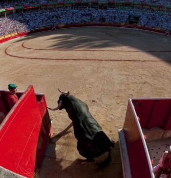 San Fermín: el toro manda