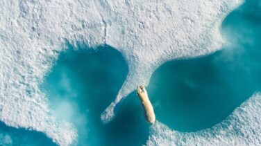 Las mejores fotos con dron del año