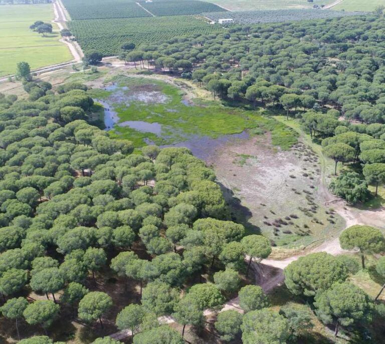 El CSIC señala a Teide y Doñana  por sus "tendencias ambientalmente preocupantes"
