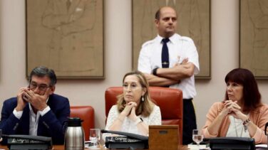 El Congreso duda de la tramitación del decreto que amplía el permiso de paternidad