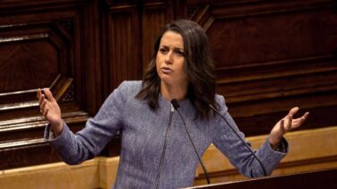 Torra acusa a Cs de pactar con un partido "racista, xenófobo y supremacista"