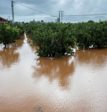 Cambio climático y fenómenos meteorológicos extremos en España