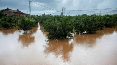 Cambio climático y fenómenos meteorológicos extremos en España