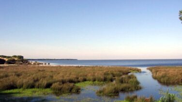 Las cinco grandes amenazas que ponen en peligro a Doñana