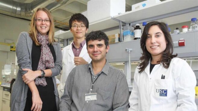 Científicos de Santiago de Compostela crean partículas capaces de llevar fármacos al interior de un tumor