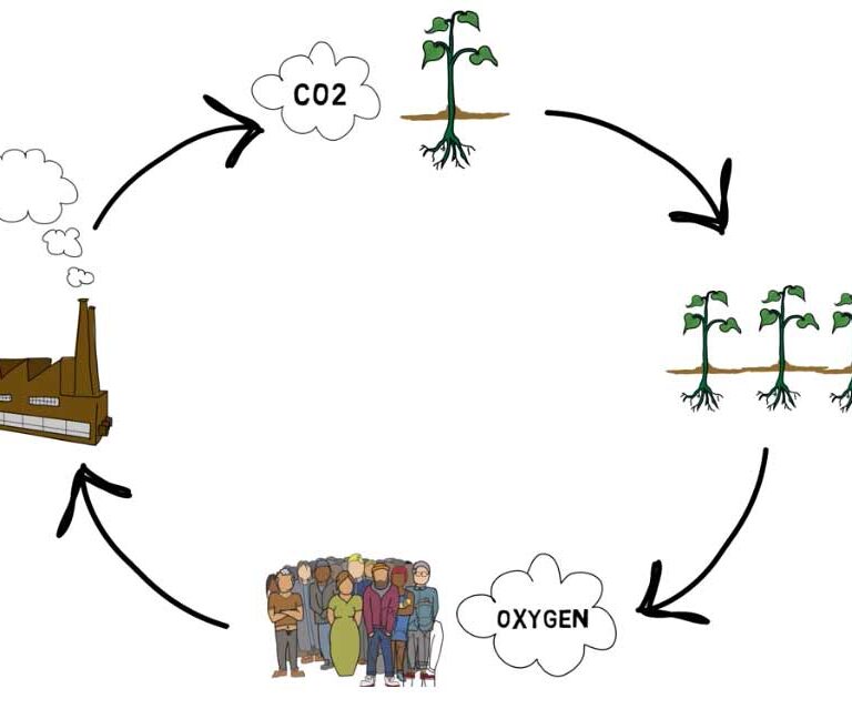 Tarjetas de crédito de carbono: la huella ecológica no tiene precio