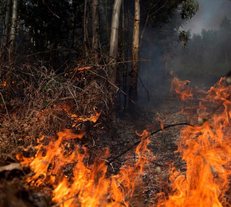 Detenido un jefe de voluntarios por los incendios en Cantabria