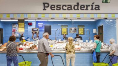 Primera huelga contra el ERE de Dia en los supermercados de Vizcaya
