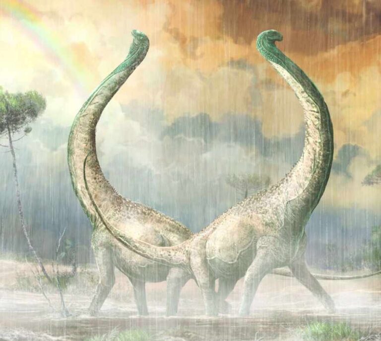 Nuevo dinosaurio titánico del Cretácico