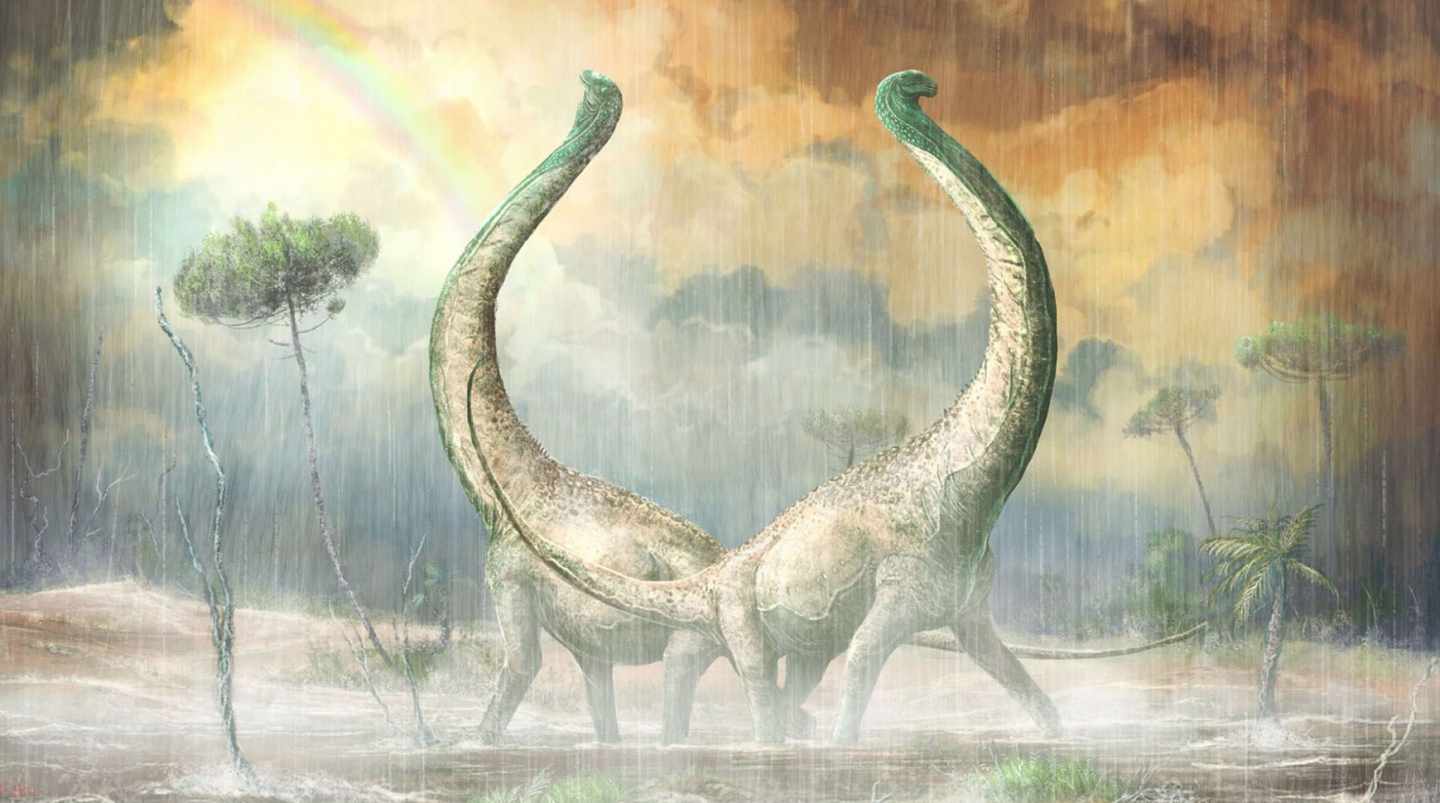 Recreación de dos titanosaurios Mnyamawamtuka
