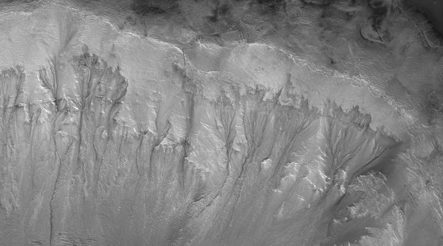 Surcos en el cráter Palikir vinculados a agua brotando del subsuelo de Marte