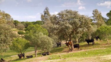 Muere un veterinario golpeado por un animal en una finca de Badajoz