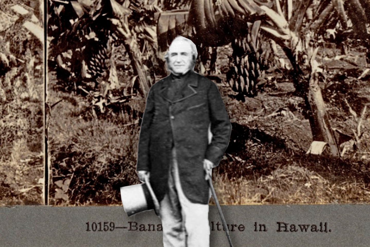 El jardinero Joseph Paxton, creador del plátano Cavendish