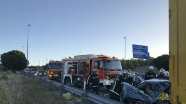 El cruce de un jabalí ha provocado el accidente de la M-50 donde ha muerto un joven